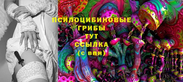 трава Абаза